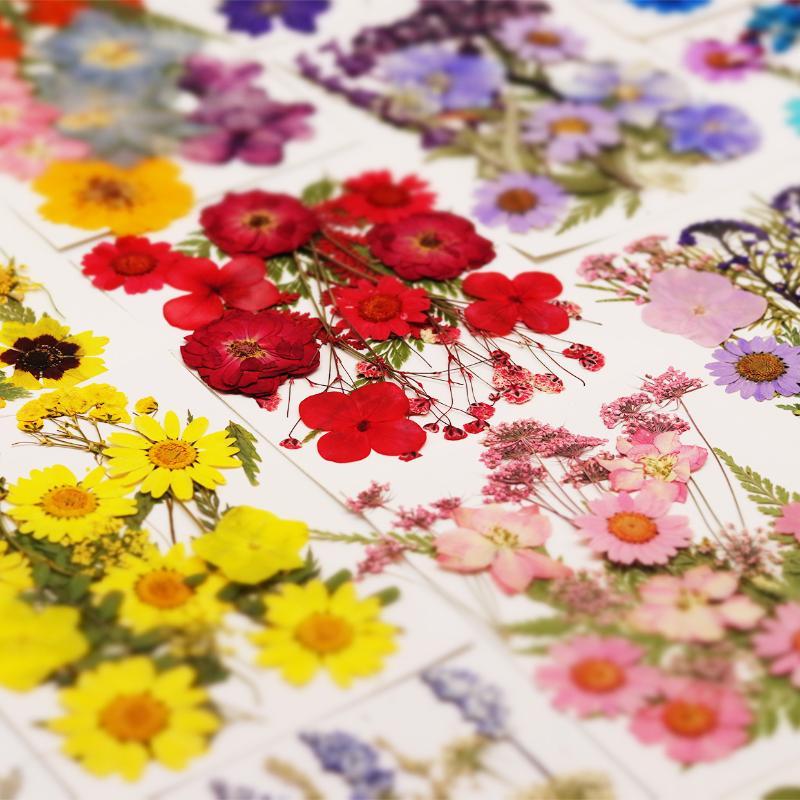 Vraies fleurs de plantes séché - Resin Craft Ideas avis et prix